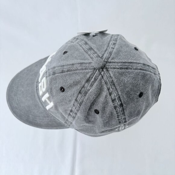 The NASH Collection Nashville Tennessee Gray Strapback Baseball Cap Hat NWT - Picture 5 of 8